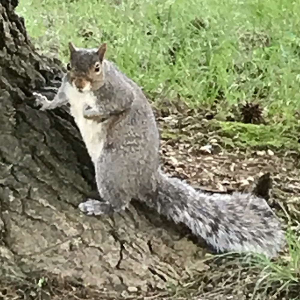 Meet your Posher, Paileen